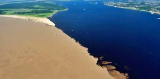 Como a ciência e o turismo sustentável explicam o fenômeno do Encontro das Águas que atrai visitantes globais a Manaus