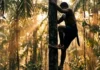 Como a técnica ancestral dos peconheiros impulsiona a colheita do açaí e sustenta a bioeconomia bilionária do Estado do Pará