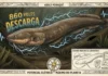 Como as descargas biológicas do poraquê revolucionam os estudos de bioeletricidade e preservam os ecossistemas da Amazônia