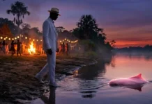 Como a fascinante lenda do boto-cor-de-rosa une tradição cultural e preservação ecológica nas comunidades ribeirinhas da Amazônia