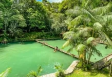 Descubra as cachoeiras escondidas de Benevides e Santa Bárbara, refúgios de águas cristalinas a menos de duas horas de Belém do Pará