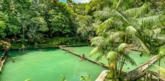 Descubra as cachoeiras escondidas de Benevides e Santa Bárbara, refúgios de águas cristalinas a menos de duas horas de Belém do Pará
