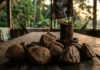 Como o óleo de andiroba protege comunidades amazônicas contra mosquitos por meio de velas artesanais feitas com sementes nativas