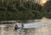 Como as reservas extrativistas do Pará lideram a inovação socioambiental e protegem a biodiversidade da floresta em pé