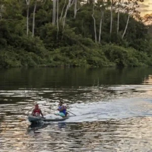 Como as reservas extrativistas do Pará lideram a inovação socioambiental e protegem a biodiversidade da floresta em pé