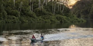 Como as reservas extrativistas do Pará lideram a inovação socioambiental e protegem a biodiversidade da floresta em pé