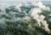 Como os rios voadores gerados pela Floresta Amazônica garantem o regime de chuvas e a produtividade agrícola do Sudeste