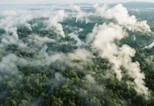 Como os rios voadores gerados pela Floresta Amazônica garantem o regime de chuvas e a produtividade agrícola do Sudeste