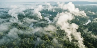 Como os rios voadores gerados pela Floresta Amazônica garantem o regime de chuvas e a produtividade agrícola do Sudeste