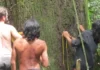 Como a engenharia linguística dos povos indígenas na Amazônia traduz conceitos biológicos únicos e protege o patrimônio da floresta