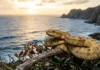 Como o isolamento da jararaca-ilhoa na Ilha da Queima-Grande desafia a ciência e revela os segredos da evolução biológica brasileira