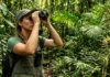 Como a conservação de aves ameaçadas na Amazônia oferece lições fundamentais para a proteção da biodiversidade em escala global
