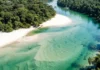 Como a extrema transparência do Rio Arapiuns projeta praias fluviais que rivalizam com as belezas do Caribe na região amazônica