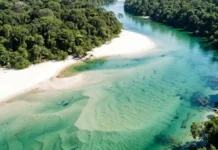 Como a extrema transparência do Rio Arapiuns projeta praias fluviais que rivalizam com as belezas do Caribe na região amazônica