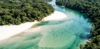 Como a extrema transparência do Rio Arapiuns projeta praias fluviais que rivalizam com as belezas do Caribe na região amazônica