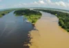 Como a hidrodinâmica do Rio Amazonas molda a biodiversidade das várzeas e dita o ciclo de vida da fauna regional