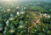 Como a integração entre inteligência artificial e biodiversidade está transformando a preservação das florestas tropicais no Brasil