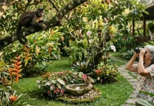Guia completo de convivência harmônica com a fauna urbana e a proteção de animais silvestres em áreas residenciais