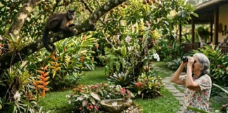 Guia completo de convivência harmônica com a fauna urbana e a proteção de animais silvestres em áreas residenciais