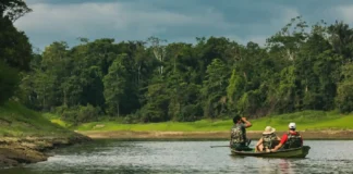 A revolução dos drones no manejo do pirarucu: como a visão aérea está transformando a contagem de peixes e a vigilância dos lagos amazônicos