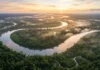 Como a imensidão hídrica do Rio Amazonas revela segredos biogeográficos e curiosidades fascinantes que sustentam a vida no Brasil