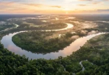 Como a imensidão hídrica do Rio Amazonas revela segredos biogeográficos e curiosidades fascinantes que sustentam a vida no Brasil