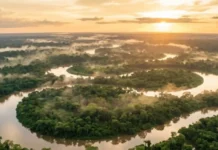 Como o Rio Amazonas sustenta a maior biodiversidade do mundo e regula o clima global através de seus ciclos hídricos