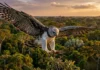 As aves de rapina e a biodiversidade aérea da Amazônia revelam estratégias de caça impressionantes além do famoso gavião-real