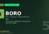 Boro, o micronutriente invisível que mantém o açaí e o cupuaçu produzindo na Amazônia