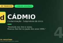 Cádmio na mineração amazônica: o metal que acumula no corpo por décadas e exige vigilância