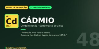 Cádmio na mineração amazônica: o metal que acumula no corpo por décadas e exige vigilância