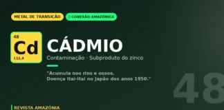 Cádmio na mineração amazônica: o metal que acumula no corpo por décadas e exige vigilância Cádmio na mineração amazônica: o metal que acumula no corpo por décadas e exige vigilância