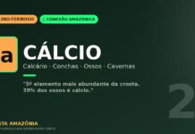 Cálcio na Amazônia: do calcário das cavernas do Guaporé aos ossos do pirarucu e das tartarugas