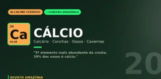 Cálcio na Amazônia: do calcário das cavernas do Guaporé aos ossos do pirarucu e das tartarugas Cálcio na Amazônia: do calcário das cavernas do Guaporé aos ossos do pirarucu e das tartarugas
