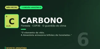 Carbono na Amazônia: o elemento invisível que sustenta a vida e definiu a COP30 em Belém Carbono na Amazônia: o elemento invisível que sustenta a vida e definiu a COP30 em Belém