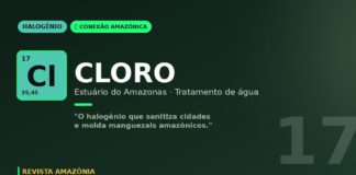 Cloro no estuario do Amazonas: o halogenio que trata agua e modela manguezais e pororoca