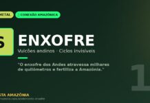 Enxofre dos vulcões andinos: o ciclo invisível que fertiliza a Amazônia há milhões de anos