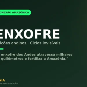 Enxofre dos vulcões andinos: o ciclo invisível que fertiliza a Amazônia há milhões de anos Enxofre dos vulcões andinos: o ciclo invisível que fertiliza a Amazônia há milhões de anos