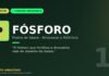 Fósforo e a poeira do Saara: como o deserto africano fertiliza a maior floresta tropical do planeta