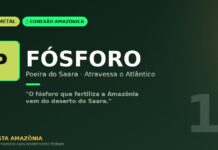 Fósforo e a poeira do Saara: como o deserto africano fertiliza a maior floresta tropical do planeta