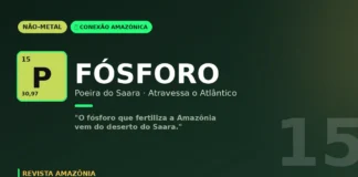 Fósforo e a poeira do Saara: como o deserto africano fertiliza a maior floresta tropical do planeta Fósforo e a poeira do Saara: como o deserto africano fertiliza a maior floresta tropical do planeta
