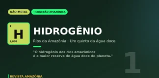 Hidrogênio dos rios amazônicos: um quinto da água doce do planeta corre na maior floresta tropical Hidrogênio dos rios amazônicos: um quinto da água doce do planeta corre na maior floresta tropical