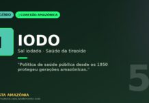 Iodo no sal amazonico: a politica publica discreta que protege a tireoide de geracoes inteiras