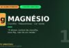 Magnésio e clorofila: o átomo no coração da fotossíntese amazônica que mantém a floresta verde