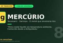 Mercúrio dos Yanomami: o metal líquido que envenena rios e povos da Amazônia