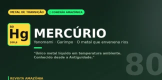 Mercúrio dos Yanomami: o metal líquido que envenena rios e povos da Amazônia Mercúrio dos Yanomami: o metal líquido que envenena rios e povos da Amazônia