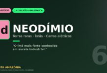 Neodímio das terras raras amazônicas: o lantanídeo que move turbinas eólicas e carros elétricos pelo mundo