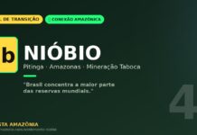 Nióbio de Pitinga: o metal estratégico que dá ao Brasil quase monopólio mundial vem também da Amazônia