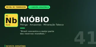 Nióbio de Pitinga: o metal estratégico que dá ao Brasil quase monopólio mundial vem também da Amazônia Nióbio de Pitinga: o metal estratégico que dá ao Brasil quase monopólio mundial vem também da Amazônia