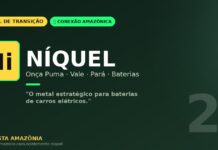 Níquel de Onça Puma: a mina amazônica da Vale que alimenta a transição para carros elétricos